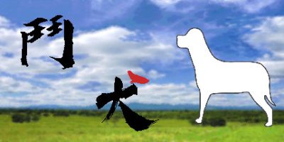 斗犬/鬥犬 Dog Fighting|